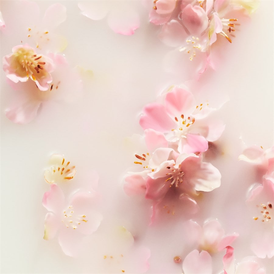 The Ritual Of Sakura Geschenkset von RITUALS Neuheiten