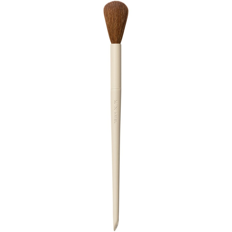 Morphe A22 Signature Blush Brush M X Ariel
