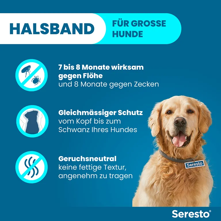 shopapotheke Seresto® Halsband für große Hunde ab 8 kg Im Verkauf