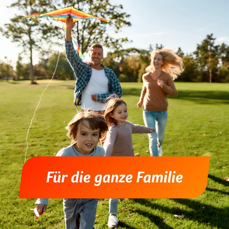 shopapotheke Fenistil Gel Dimetindenmaleat 1 mg/g zur Linderung von Juckreiz Räumungsverkauf