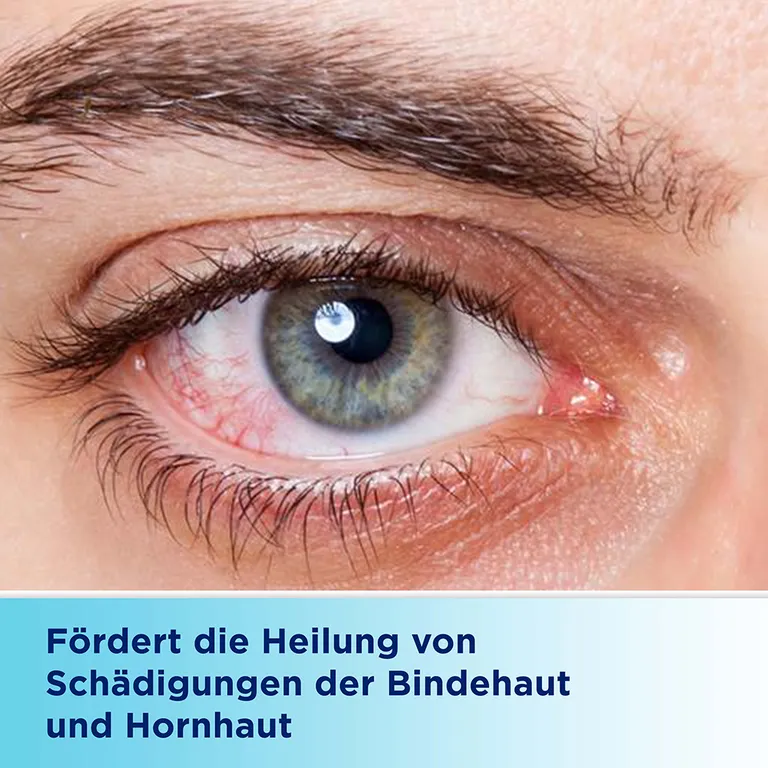 shopapotheke Bepanthen® Augen- und Nasensalbe zur Förderung der Wundheilung Neueste Stile