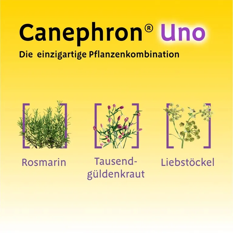 shopapotheke Canephron® Uno bei akuter Blasenentzündung 2025