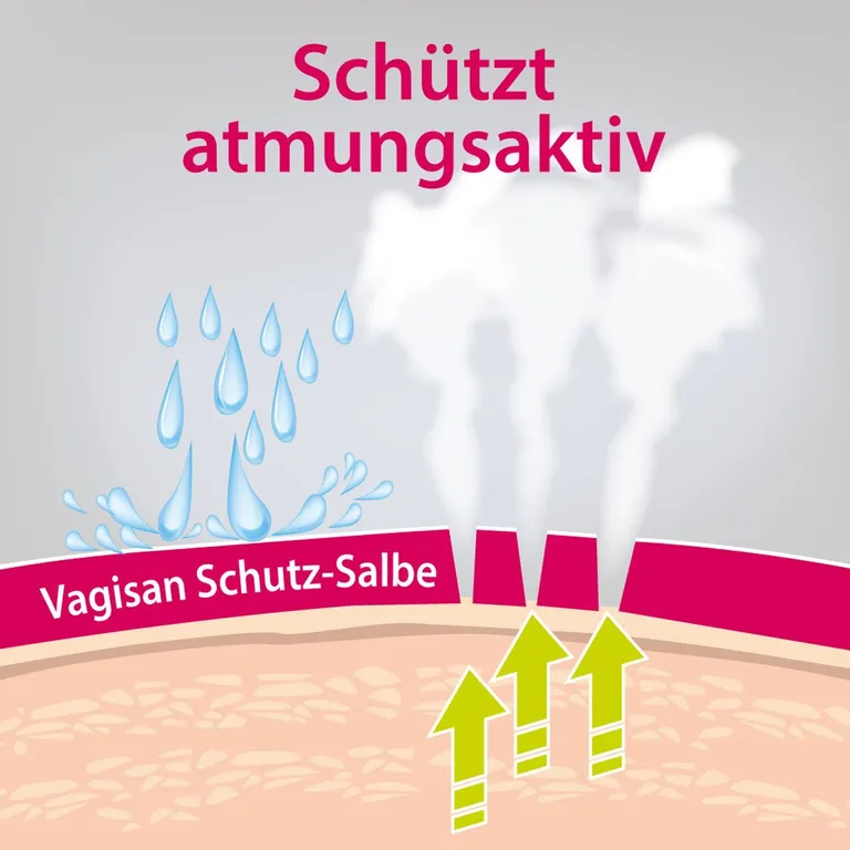 shopapotheke Vagisan Schutz-Salbe: Atmungsaktive Wundschutzcreme für den Intimbereich und zur täglichen Intimpflege Preisnachlass