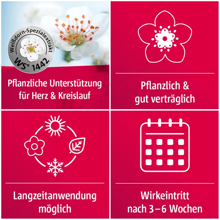 shopapotheke Crataegutt® 450 mg Herz-Kreislauf-Tabletten Flash Sale