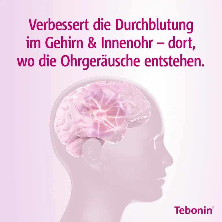 shopapotheke Tebonin® intens 120 mg Online Shopping