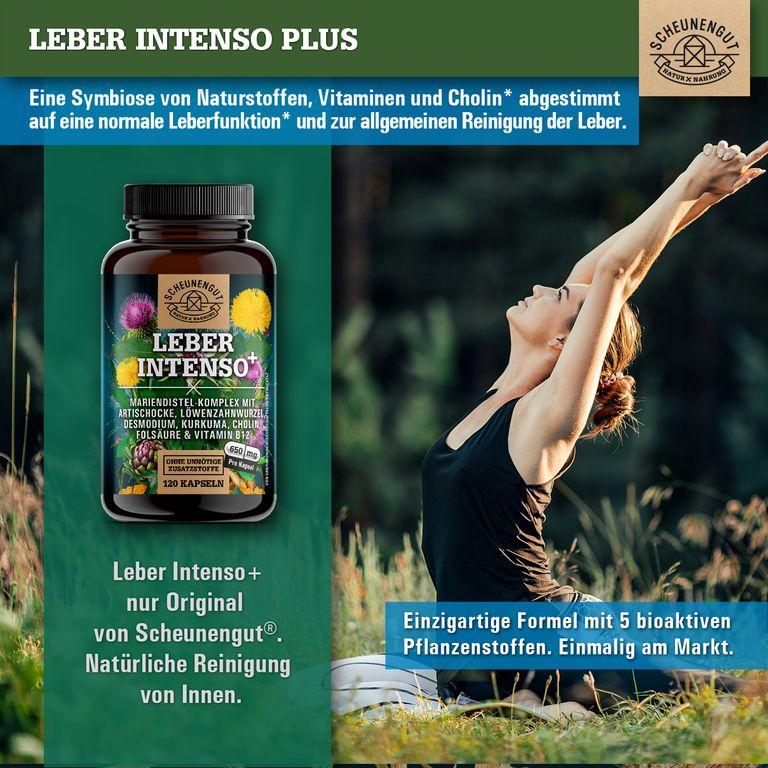 shopapotheke Scheunengut® LEBER INTENSO+ Räumungsverkauf