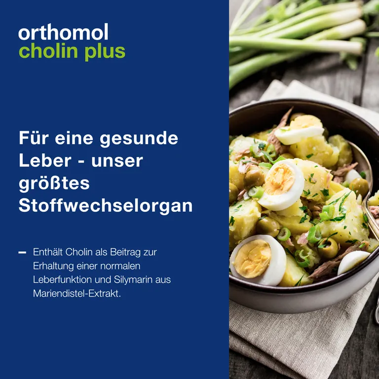 shopapotheke Orthomol Cholin Plus - zur Erhaltung einer normalen Leberfunktion - mit Silymarin aus Mariendistel-Extrakt Tägliche Deals
