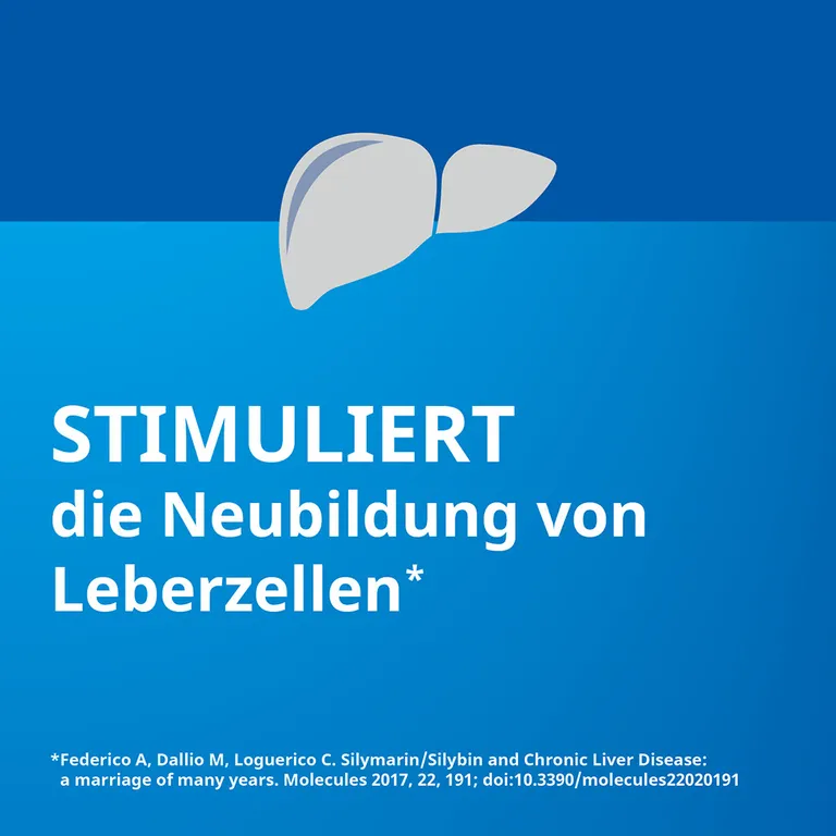 shopapotheke Silymarin STADA® 109 mg Hartkapseln Kostenlose Rückgabe