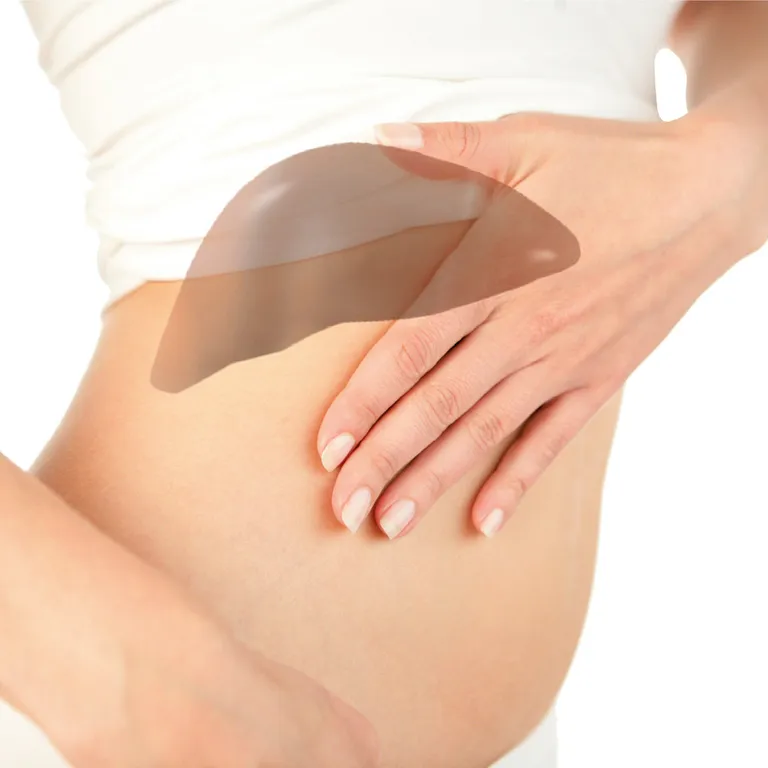 shopapotheke Hepar Hevert Lebertabletten Letzter Tag