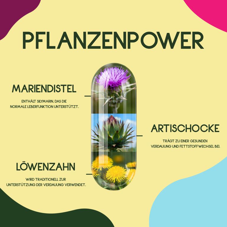 shopapotheke WURZELLIEBE Mariendistel Komplex mit Artischockenextrakt & Löwenzahn mit 80% Silymarin - 120 Kapseln Bis zu 65% Rabatt