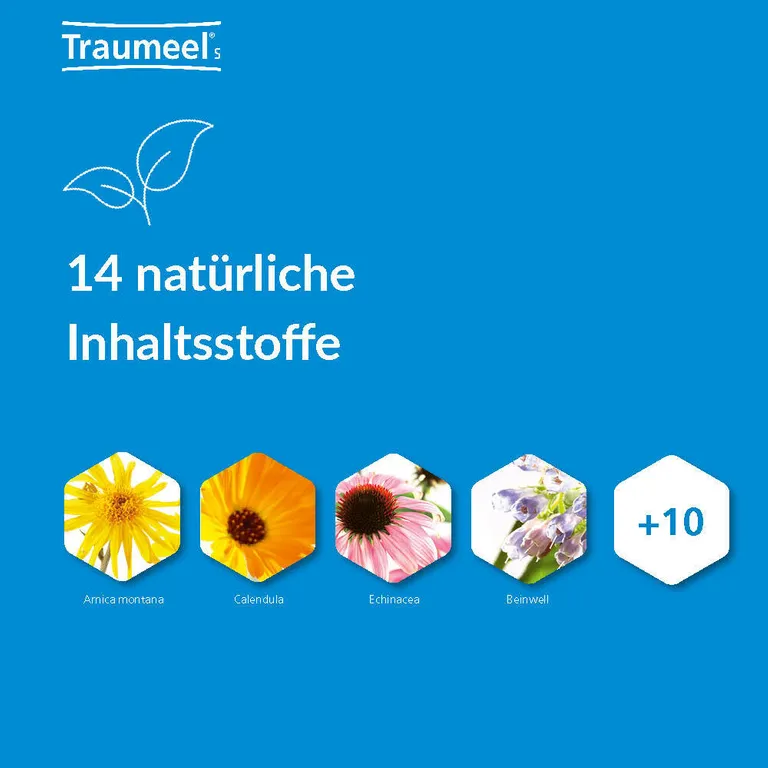 shopapotheke Traumeel® S Outlet