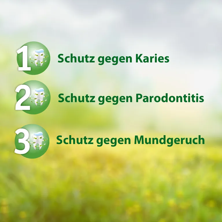 shopapotheke Salviagalen Madaus - Medizinische Zahnpasta ohne Fluorid Neuheiten