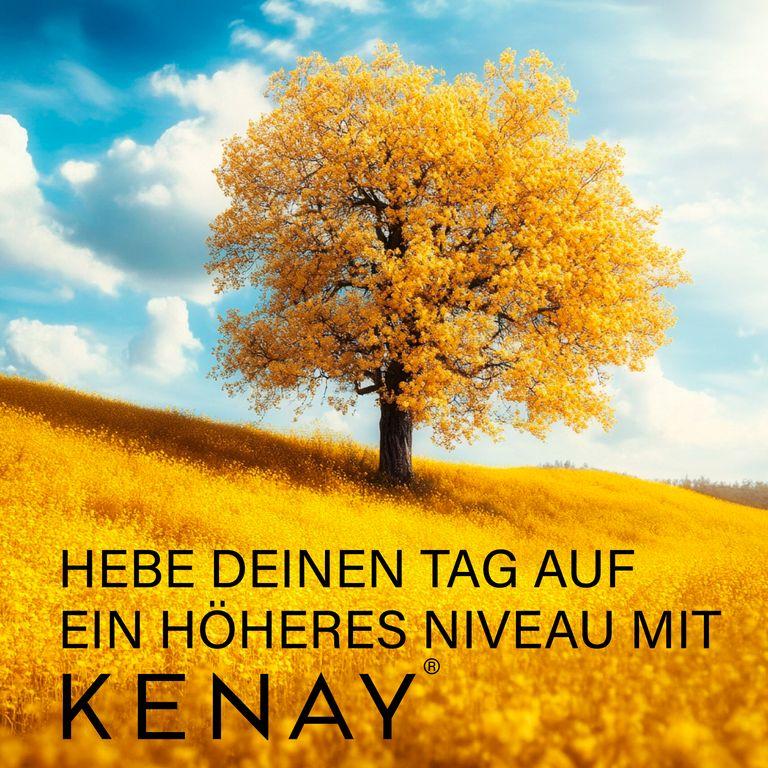 shopapotheke Silizium Lipocell Tech™ KENAY® Riesige Rabatte