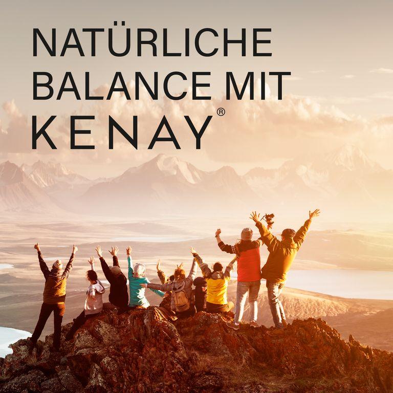 shopapotheke CarnoZinc PepZinGI & Pylopass KENAY® Speichern exportieren