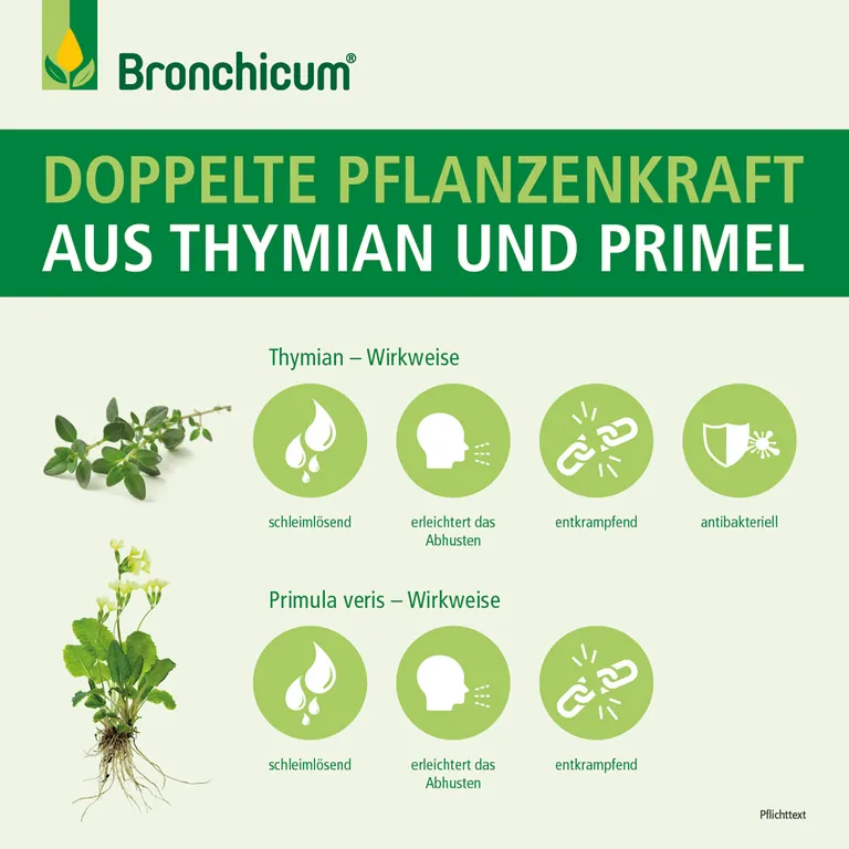 shopapotheke Bronchicum Elixir - Hustensaft bei akuter Bronchitis und Husten Osterangebot
