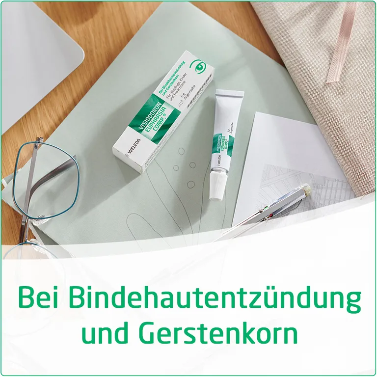 shopapotheke Visiodoron Euphrasia comp.® Augensalbe - bei Bindehautentzündung und Gerstenkorn Große Rabatte