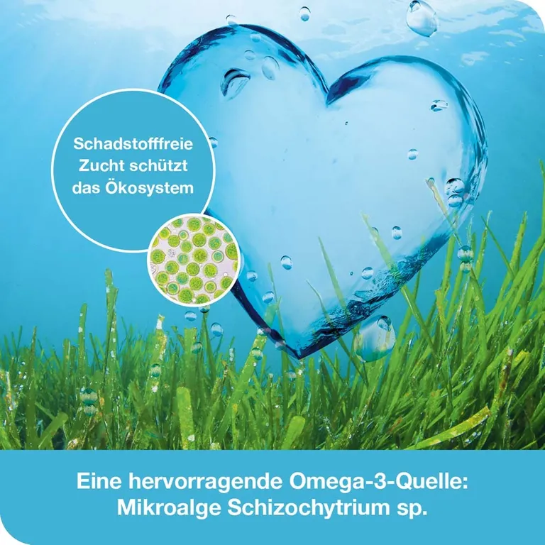 shopapotheke omega3-Loges pflanzlich – Omega-3 Kapseln vegan Bestseller