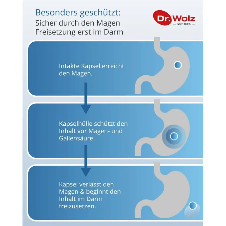 shopapotheke Dr. Wolz Darmflora* plus URO 40 Kapseln Discount Store für neue Produkte