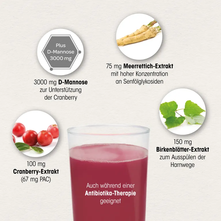 shopapotheke Dr. Böhm® Cranberry plus 50% Rabatt für begrenzte Zeit
