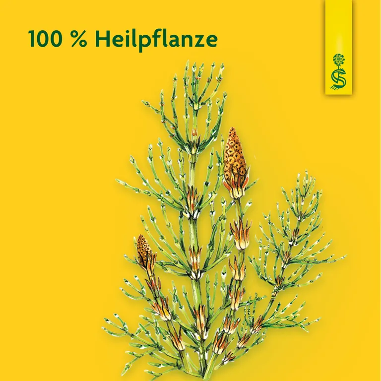 shopapotheke Schoenenberger® naturreiner Heilpflanzensaft Zinnkraut Verkauf