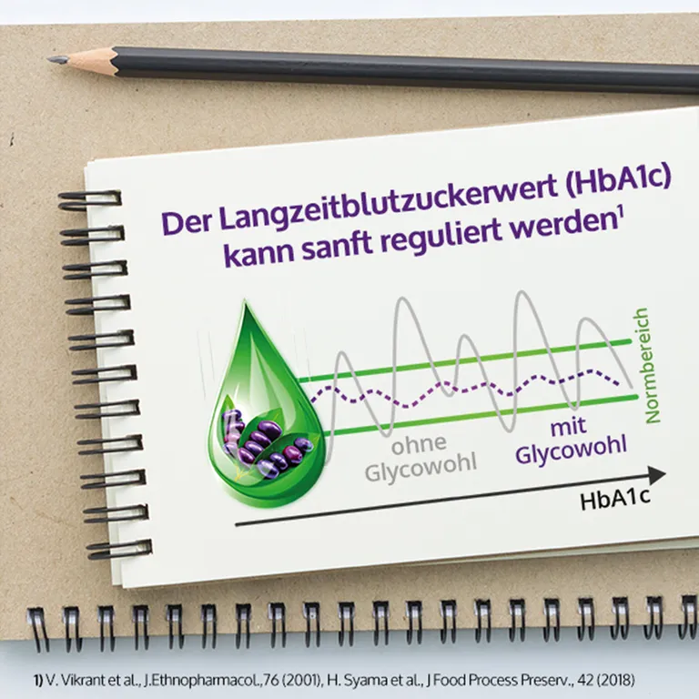 shopapotheke GLYCOWOHL® pflanzliche Tropfen bei Diabetes und Blutzucker Black Friday