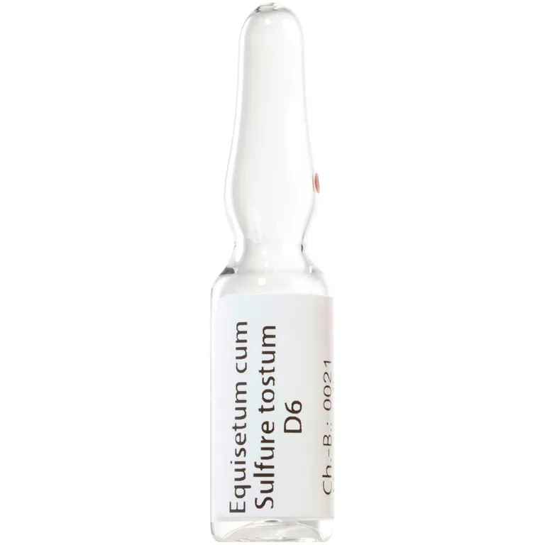 shopapotheke Equisetum Cum Sulfure Tostum D6 Im Verkauf