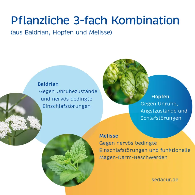 shopapotheke Sedacur forte bei Einschlafstörungen & Unruhezuständen Sonderangebote