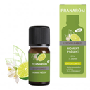 eccoverde Pranarôm Bio Aromamischung "Im Hier und Jetzt" 10 ml im Angebot