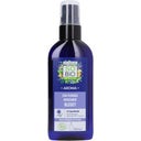 eccoverde LÉA NATURE SO BiO étic Bio-Kornblumenwasser 200 ml