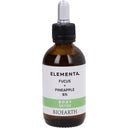 eccoverde BIOEARTH ELEMENTA BODY DETOX Blasentang + Ananas 6% 50 ml 50% Rabatt für begrenzte Zeit
