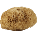 eccoverde Avril Natural Body Sponge
