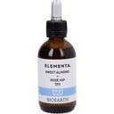 eccoverde BIOEARTH ELEMENTA BODY ELAST Süßmandel + Wildrose 12% 50 ml Blitzangebot