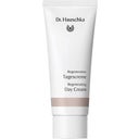 eccoverde Dr. Hauschka Regeneration Tagescreme 40 ml Weihnachtsangebot