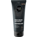 eccoverde Organic Shop MEN Multifunction Face Cream Blackwood & Mint 75 ml VIP-Rabatte