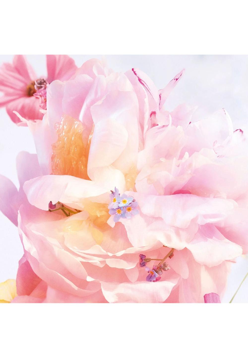 DIOR MISS DIOR BLOOMING BOUQUET EAU DE TOILETTE Bis zu 60% Rabatt